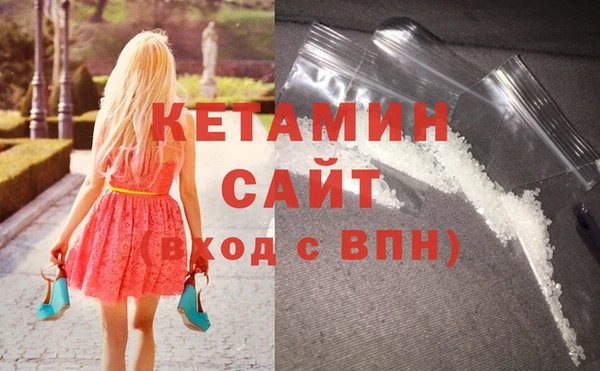 сатива Беломорск