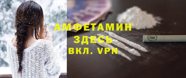 сатива Беломорск