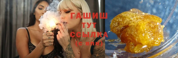гидра Белокуриха