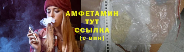 гидра Белокуриха