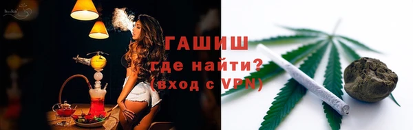 сатива Беломорск