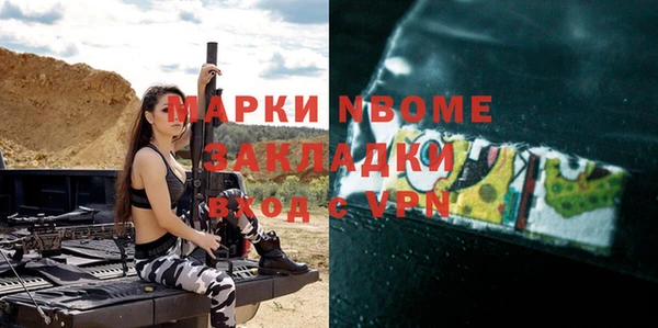 сатива Беломорск