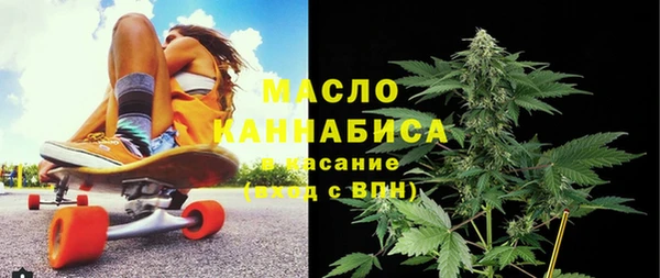 сатива Беломорск