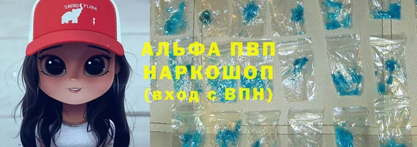 гидра Белокуриха
