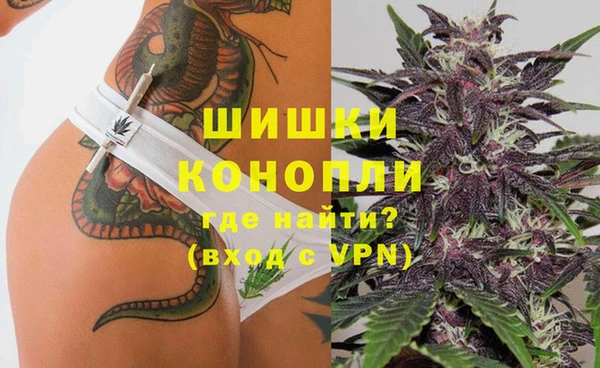сатива Беломорск
